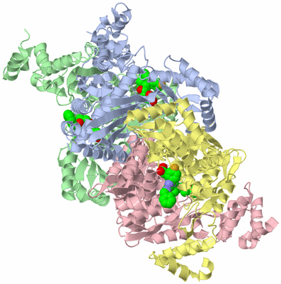 Image Asym./Biol. Unit