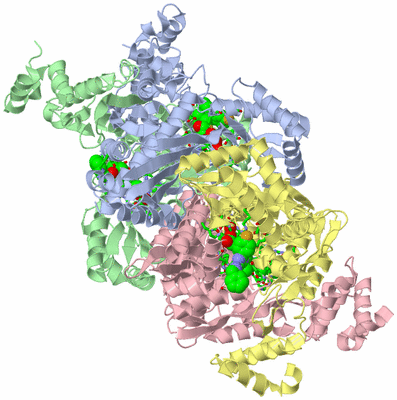 Image Asym./Biol. Unit - sites