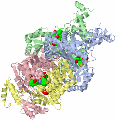 Image Asym./Biol. Unit