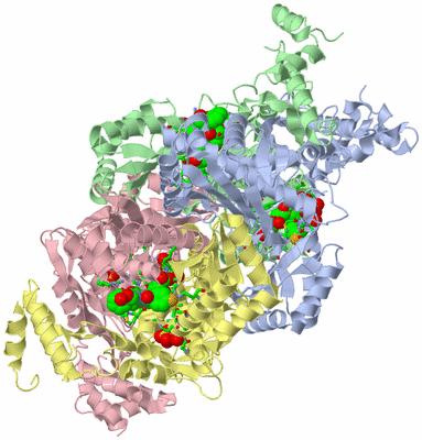 Image Asym./Biol. Unit - sites