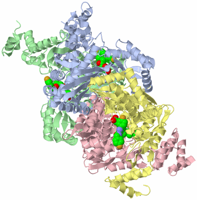 Image Asym./Biol. Unit