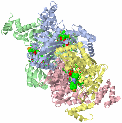 Image Asym./Biol. Unit - sites