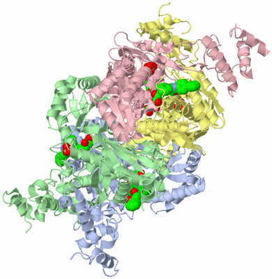 Image Asym./Biol. Unit