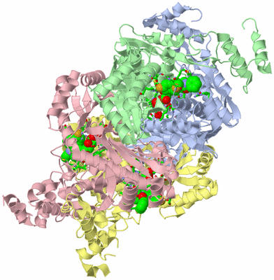 Image Asym./Biol. Unit - sites