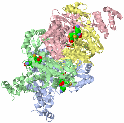 Image Asym./Biol. Unit