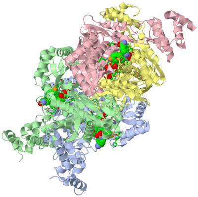 Image Asym./Biol. Unit - sites