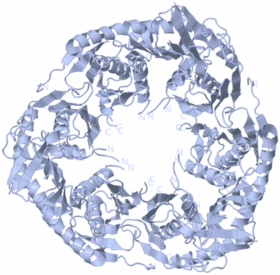 Image Biological Unit 1