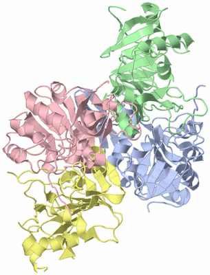 Image Asym./Biol. Unit