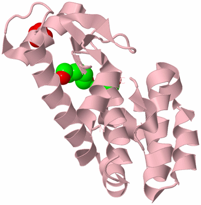 Image Biological Unit 3