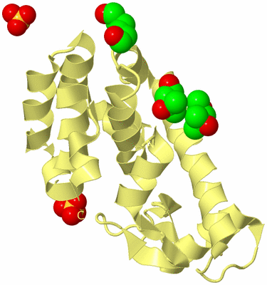 Image Biological Unit 4