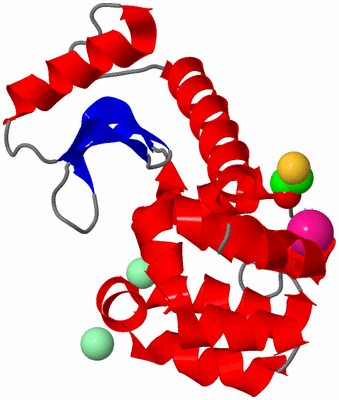 Image Asym./Biol. Unit