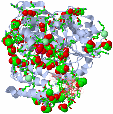 Image Asym./Biol. Unit - sites