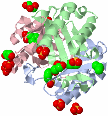 Image Asym./Biol. Unit