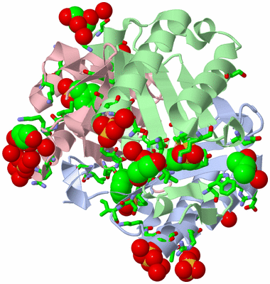 Image Asym./Biol. Unit - sites