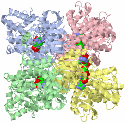 Image Asym./Biol. Unit