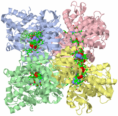 Image Asym./Biol. Unit - sites