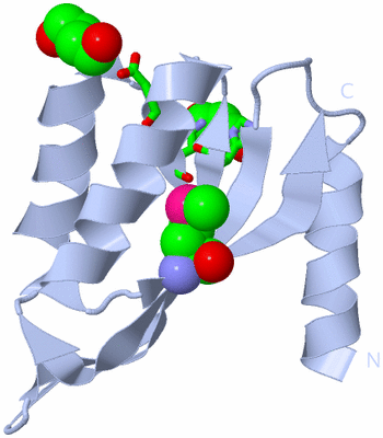 Image Biol. Unit 1 - sites