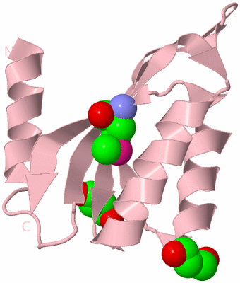 Image Biological Unit 3