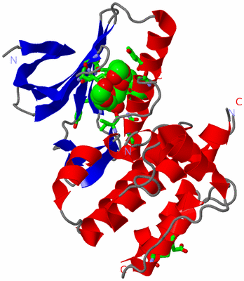 Image Asym. Unit - sites