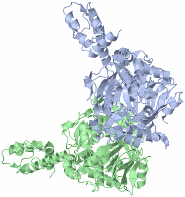 Image Biological Unit 1