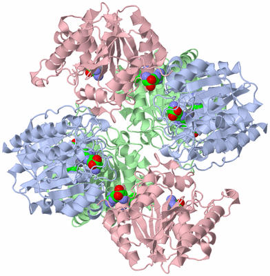 Image Biological Unit 1