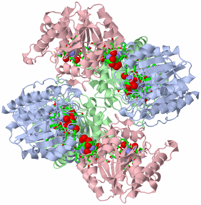 Image Biol. Unit 1 - sites