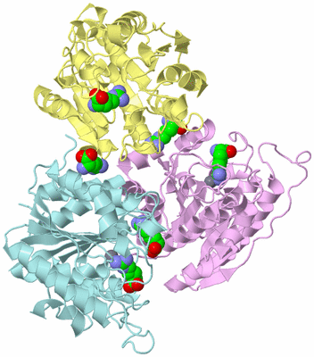 Image Biological Unit 2