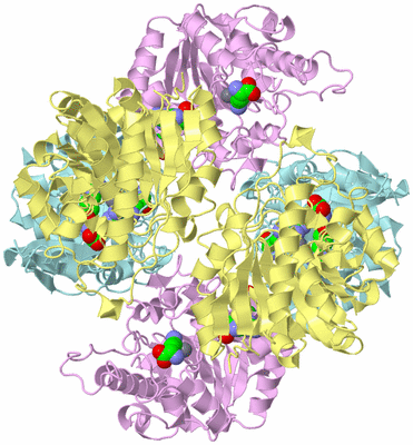 Image Biological Unit 3