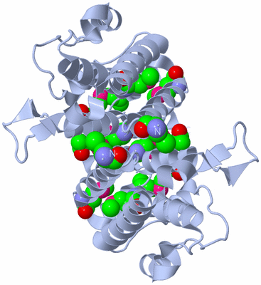 Image Biological Unit 1