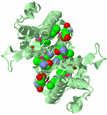 Image Biological Unit 2