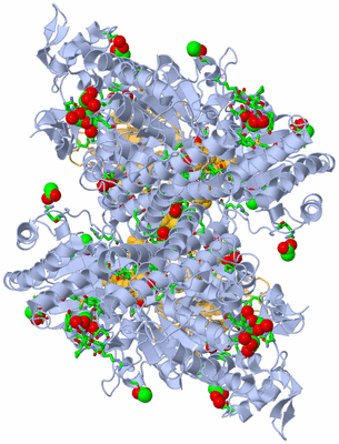 Image Biol. Unit 1 - sites