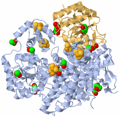 Image Biological Unit 2