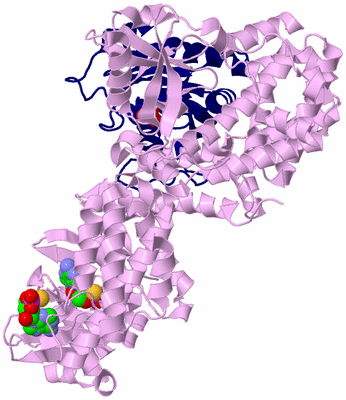 Image Biological Unit 2