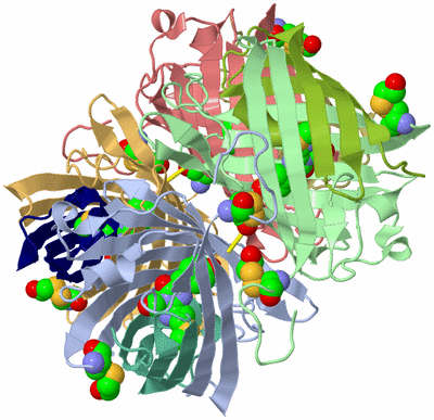 Image Asym./Biol. Unit