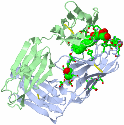 Image Biol. Unit 1 - sites