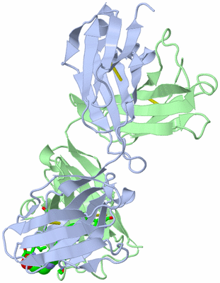 Image Biol. Unit 1 - sites