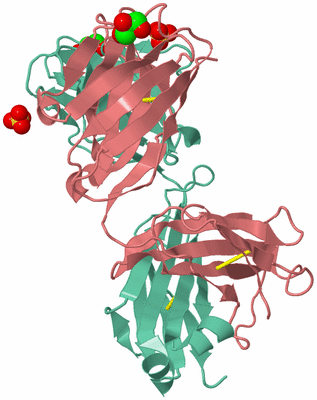 Image Biological Unit 2