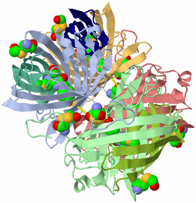 Image Asym./Biol. Unit