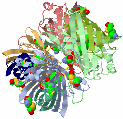 Image Asym./Biol. Unit