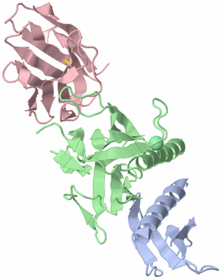 Image Biological Unit 1