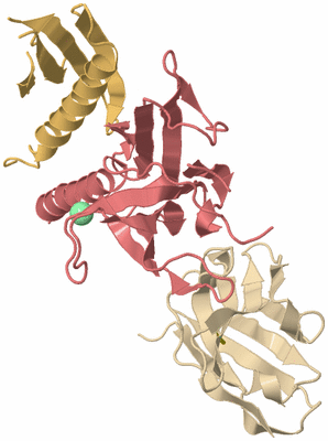 Image Biological Unit 3