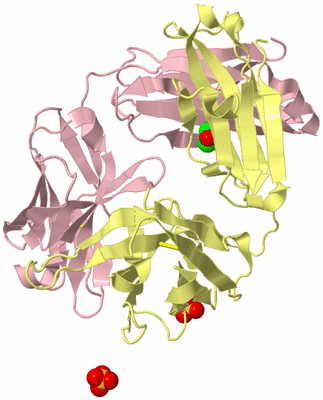 Image Biological Unit 3