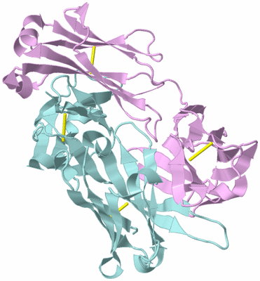 Image Biological Unit 4