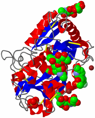 Image Asym./Biol. Unit