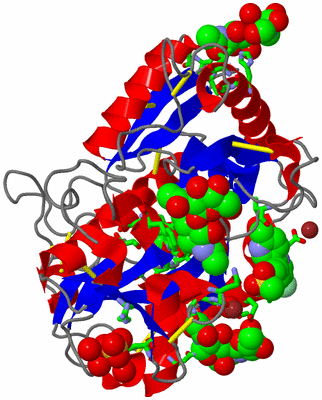 Image Asym./Biol. Unit - sites