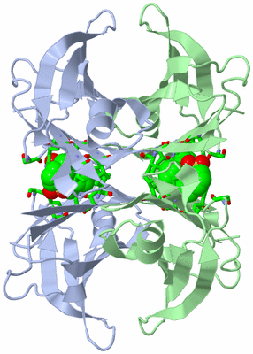 Image Biol. Unit 1 - sites