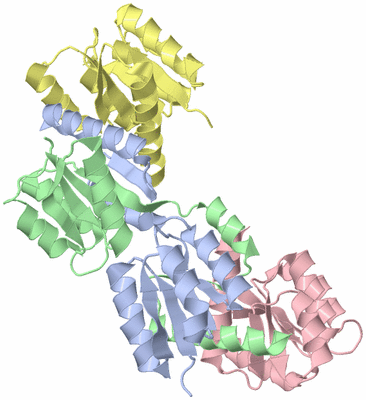 Image Biological Unit 1