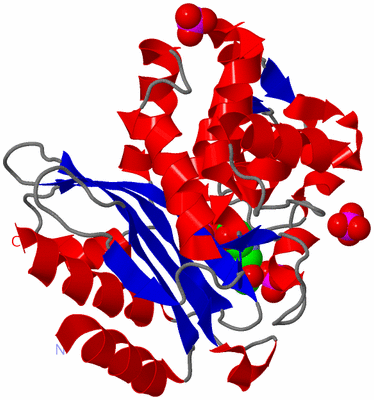 Image Asym./Biol. Unit