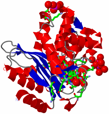 Image Asym./Biol. Unit - sites