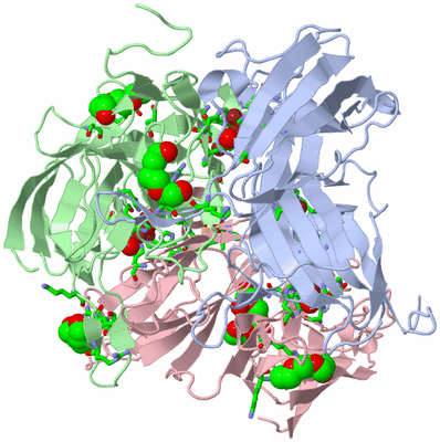 Image Asym./Biol. Unit - sites